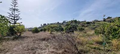 Detached Villa in Estepona