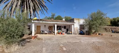 Detached Villa in Estepona