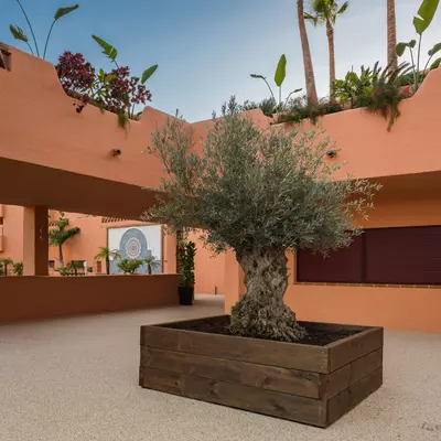 Top Floor Apartment in El Paraiso
