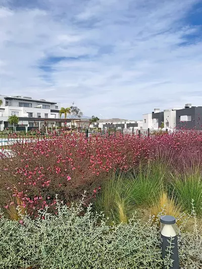 Ground Floor Apartment in Estepona
