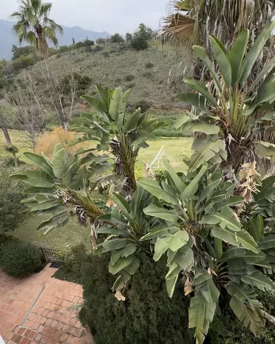 Townhouse in Marbella