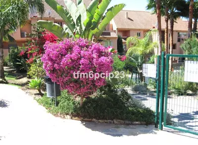 Ground Floor Apartment in Casares Playa