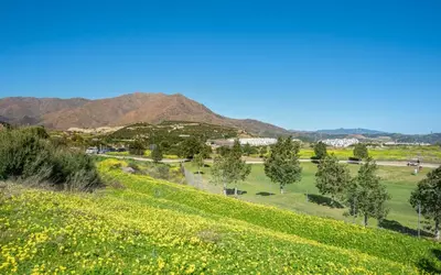 Detached Villa in Estepona