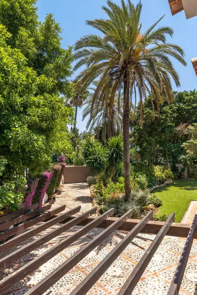 Detached Villa in Guadalmina Baja