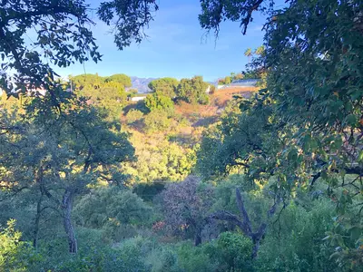 Residential Plot in Elviria