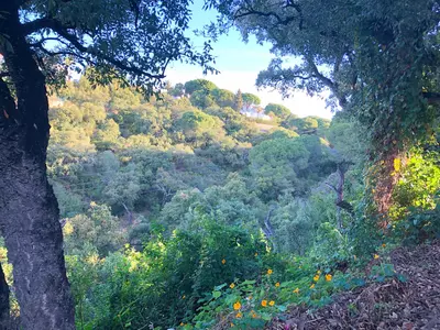 Residential Plot in Elviria