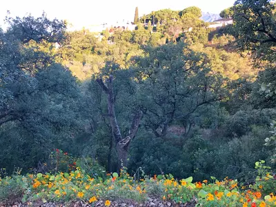 Residential Plot in Elviria
