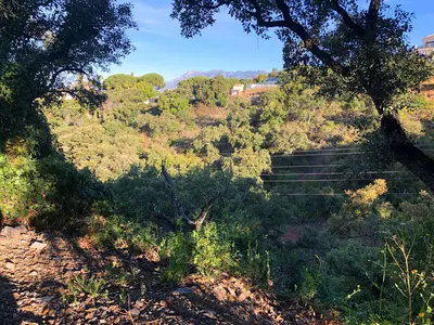 Residential Plot in Elviria
