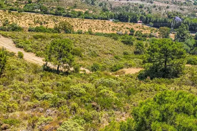 Land in Benahavís