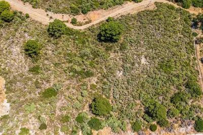 Land in Benahavís