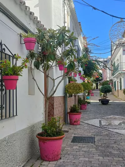 Semi-Detached House in Estepona