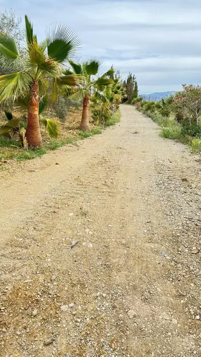 Finca - Cortijo in Marbella