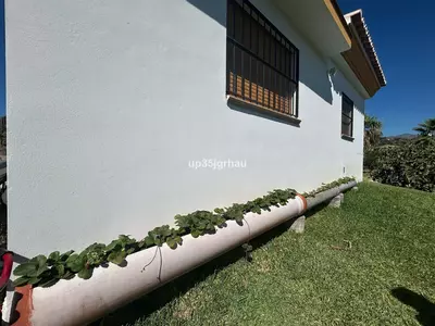 Finca - Cortijo in Estepona