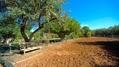 Finca - Cortijo in Estepona
