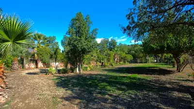 Finca - Cortijo in Estepona
