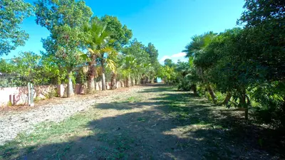 Finca - Cortijo in Estepona