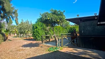 Finca - Cortijo in Estepona