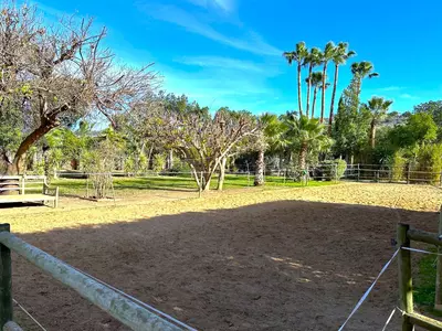 Finca - Cortijo in Estepona