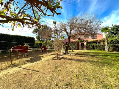 Finca - Cortijo in Estepona