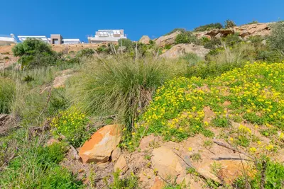 Residential Plot in Manilva