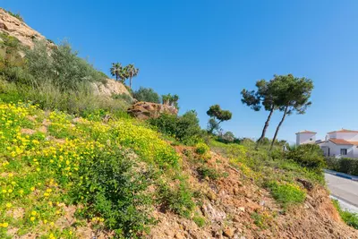 Residential Plot in Manilva