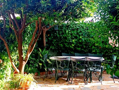 Semi-Detached House in Casares Playa