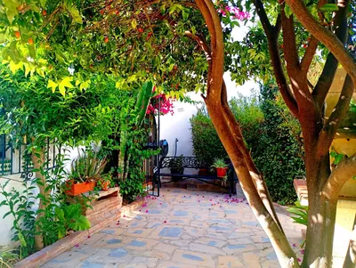 Semi-Detached House in Casares Playa