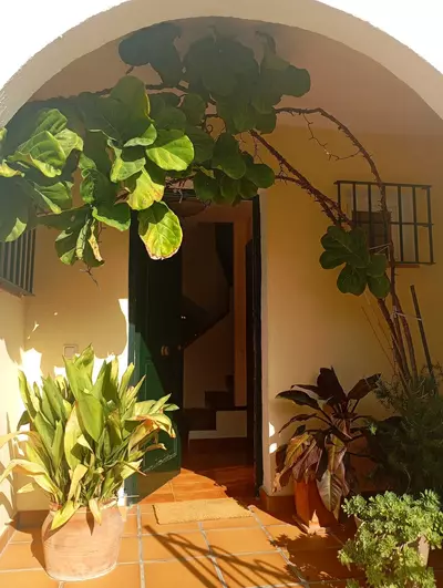 Semi-Detached House in Casares Playa