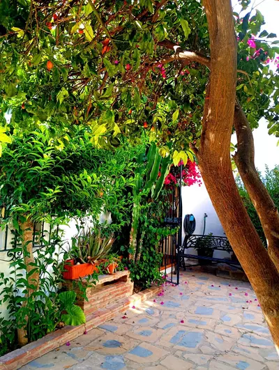 Semi-Detached House in Casares Playa