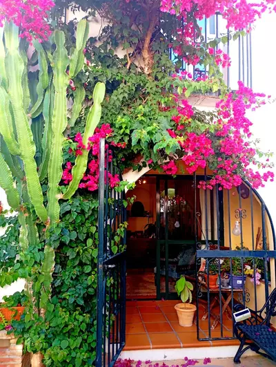Semi-Detached House in Casares Playa