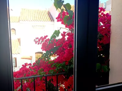 Semi-Detached House in Casares Playa