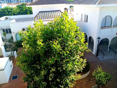 Semi-Detached House in Casares Playa