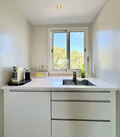 Penthouse Duplex in Casares Playa