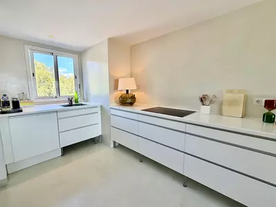 Penthouse Duplex in Casares Playa
