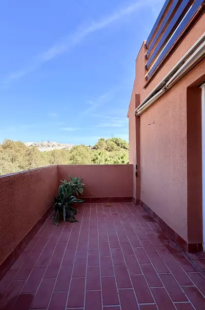 Penthouse Duplex in Casares Playa