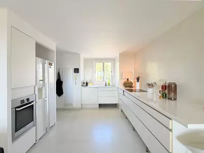 Penthouse Duplex in Casares Playa