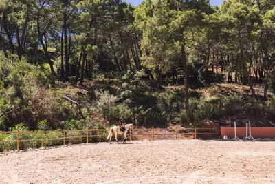 Residential Plot in Benahavís