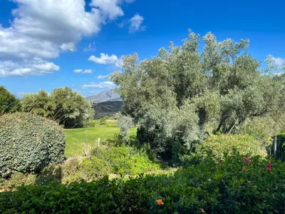 Detached Villa in El Rosario