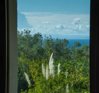 Detached Villa in El Rosario