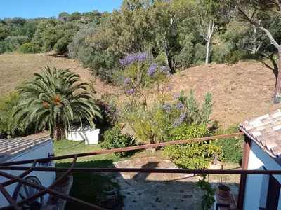 Finca - Cortijo in Casares