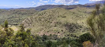Residential Plot in Benahavís