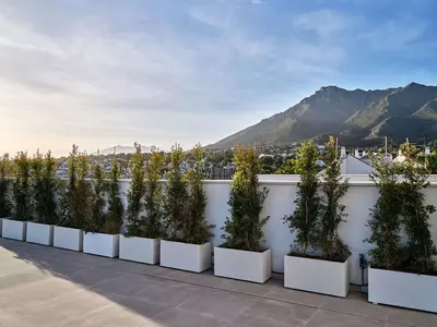 Detached Villa in Marbella