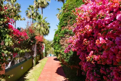 Townhouse in Estepona
