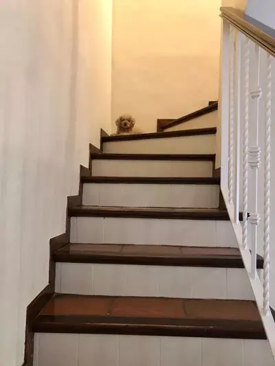 Townhouse in Guadalmina Baja