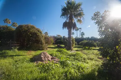 Finca - Cortijo in Estepona