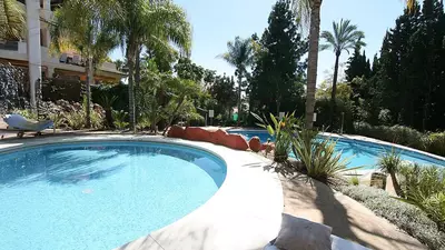 Ground Floor Apartment in Nueva Andalucía