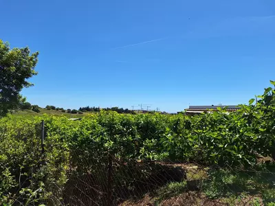Finca - Cortijo in Estepona