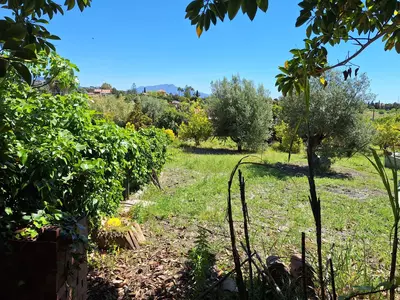 Finca - Cortijo in Estepona