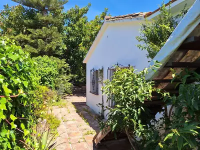 Finca - Cortijo in Estepona