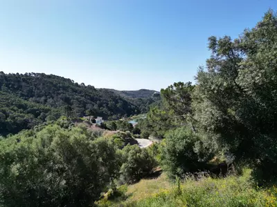 Residential Plot in Benahavís